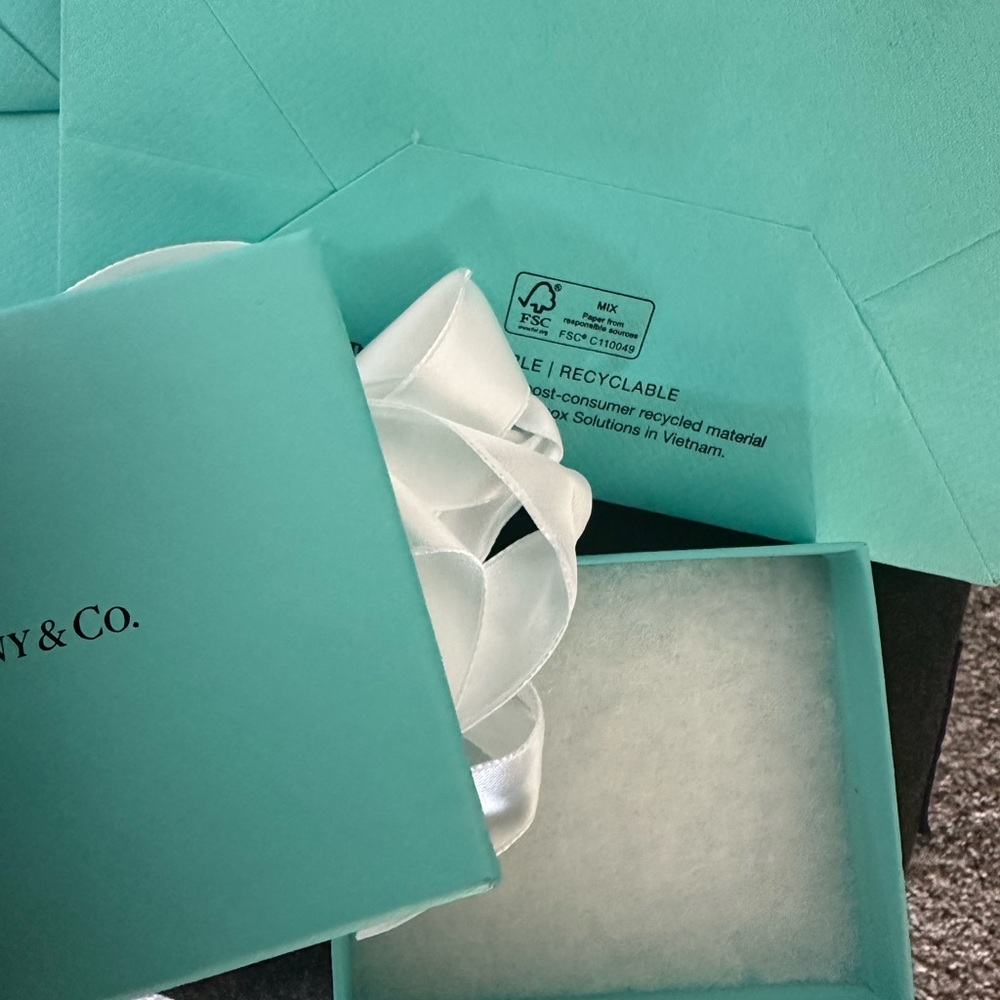 Authentic Tiffany Bags and Boxes with filler and ribbon - Picture 2 of 8